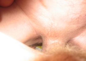 I like to lick and fuck the wet hairy pink pussy of my new nasty redhead GF and watch her pleasing herself. Image 3
