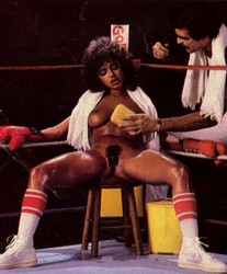 vintage lingerie sex