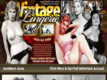 Vintage Lingerie Vintage Lingerie