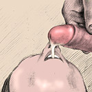 click to enlarge this picture