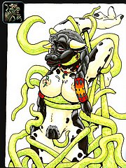 Sample 4