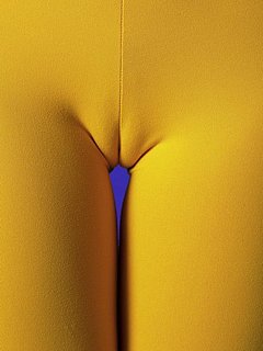 80105266.jpg