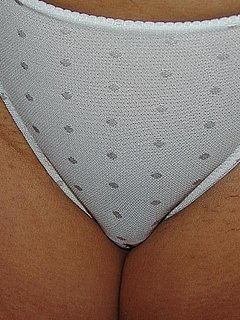 81687668.jpg