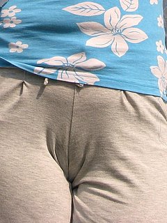 53157548.jpg