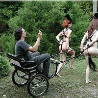 Clothed Males Naked Females