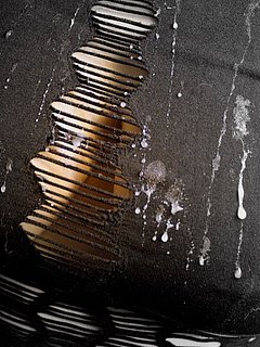 219924720.jpg