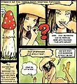Erotic comics