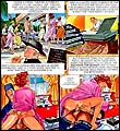 Erotic comics