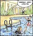 Erotic comics