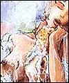 Erotic comics