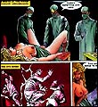 Erotic comics