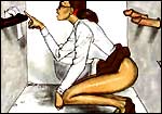 Erotic comics