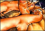 Erotic comics