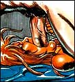 Erotic comics