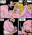 Erotic comics