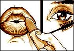 Erotic comics