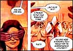 Erotic comics