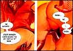 Erotic comics
