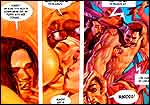 Erotic comics