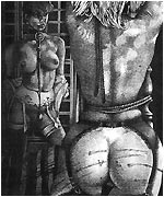 bdsm drawings