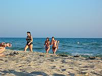 Nude Beach Voyeur