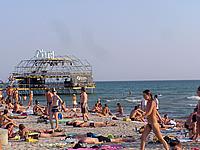 Nude Beach Voyeur