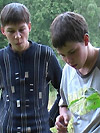 Sexy Boys World Free Pics