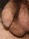 Sexy Boys World Free Pics