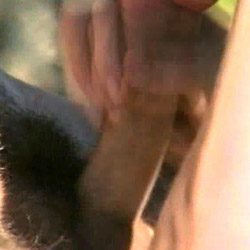 free gay vid