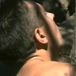 free gay movie