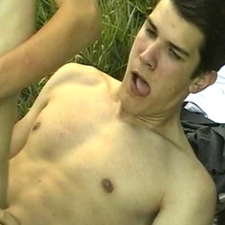 free gay vid