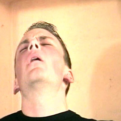 free gay vid