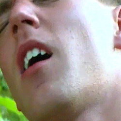 free gay vid