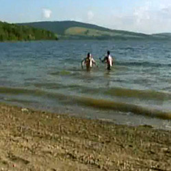 free gay vid