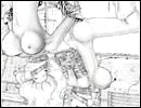 Pain Art: the best of cruel porn comics