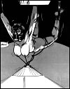 Pain Art: the best of cruel porn comics