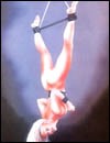 Brutal sex cartoons gallery