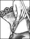 Free sadistic xxx drawings and extreme porn pictures gallery
