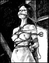 Cruel sex cartoons and adult toon