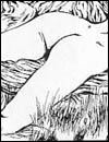 Extreme sex toons gallery