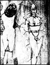 Extreme sex cartoons
