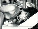 Brutal sex cartoons gallery