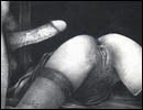 Sex comics and free sex cartoons