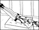 Cruel adult comics