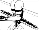 Free extreme adult cartoons