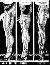 Free extreme porn artworks