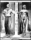 Cruel porn artworks gallery