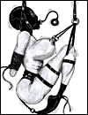 Free sex cartoons