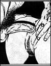 Uncensored sadistic porn comics and sex cartoons