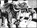 Bizarre porn cartoons gallery